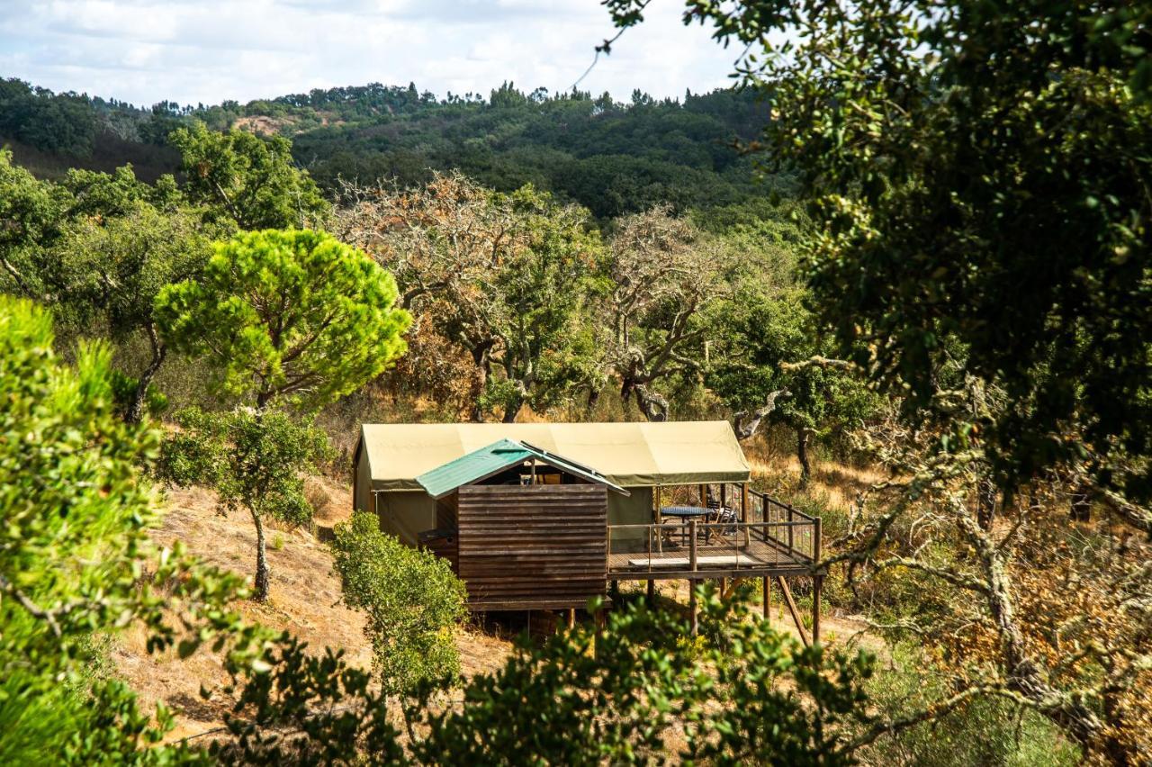 Figueirinha Ecoturismo Guest House Monte da Estrada Ngoại thất bức ảnh
