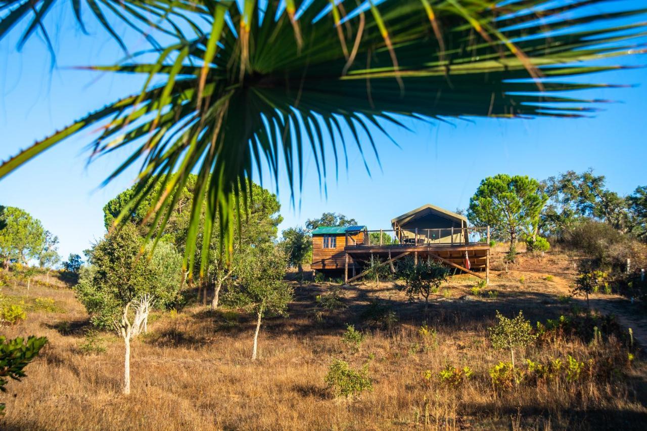 Figueirinha Ecoturismo Guest House Monte da Estrada Ngoại thất bức ảnh