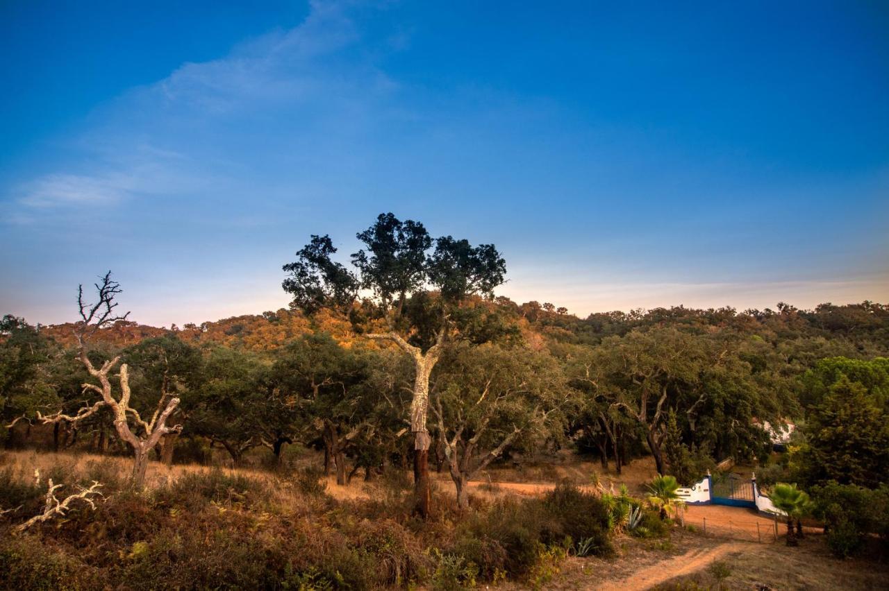Figueirinha Ecoturismo Guest House Monte da Estrada Ngoại thất bức ảnh