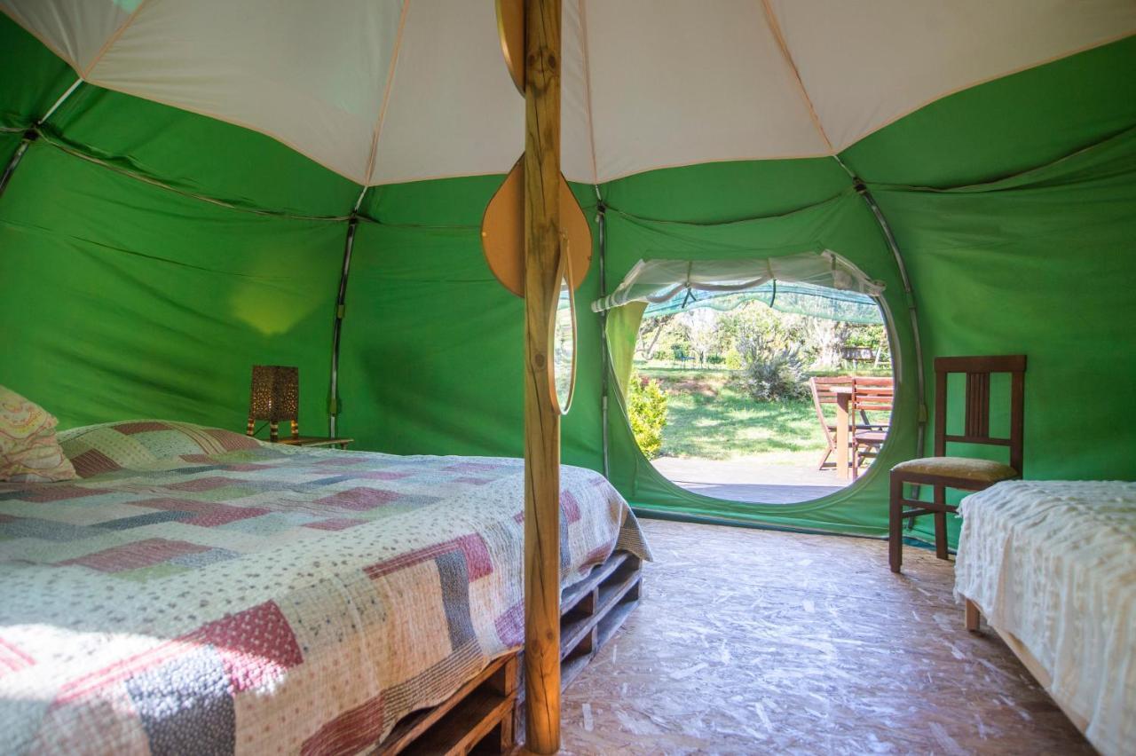 Figueirinha Ecoturismo Guest House Monte da Estrada Ngoại thất bức ảnh