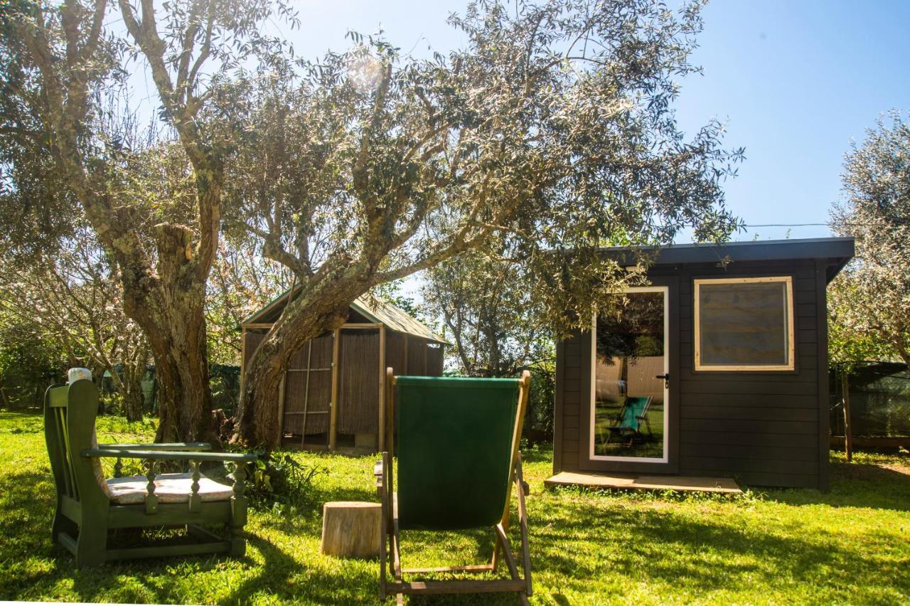 Figueirinha Ecoturismo Guest House Monte da Estrada Ngoại thất bức ảnh