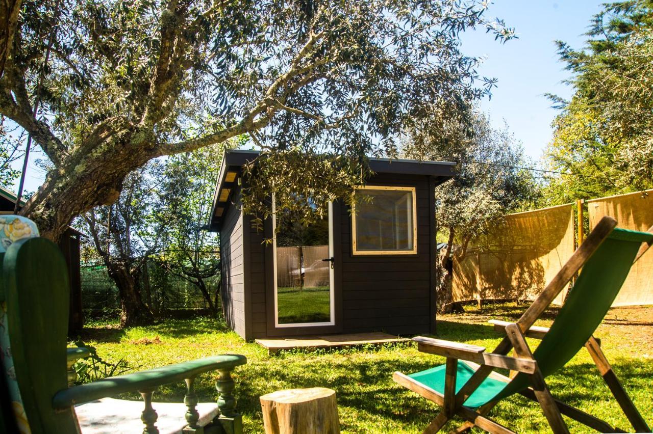 Figueirinha Ecoturismo Guest House Monte da Estrada Ngoại thất bức ảnh