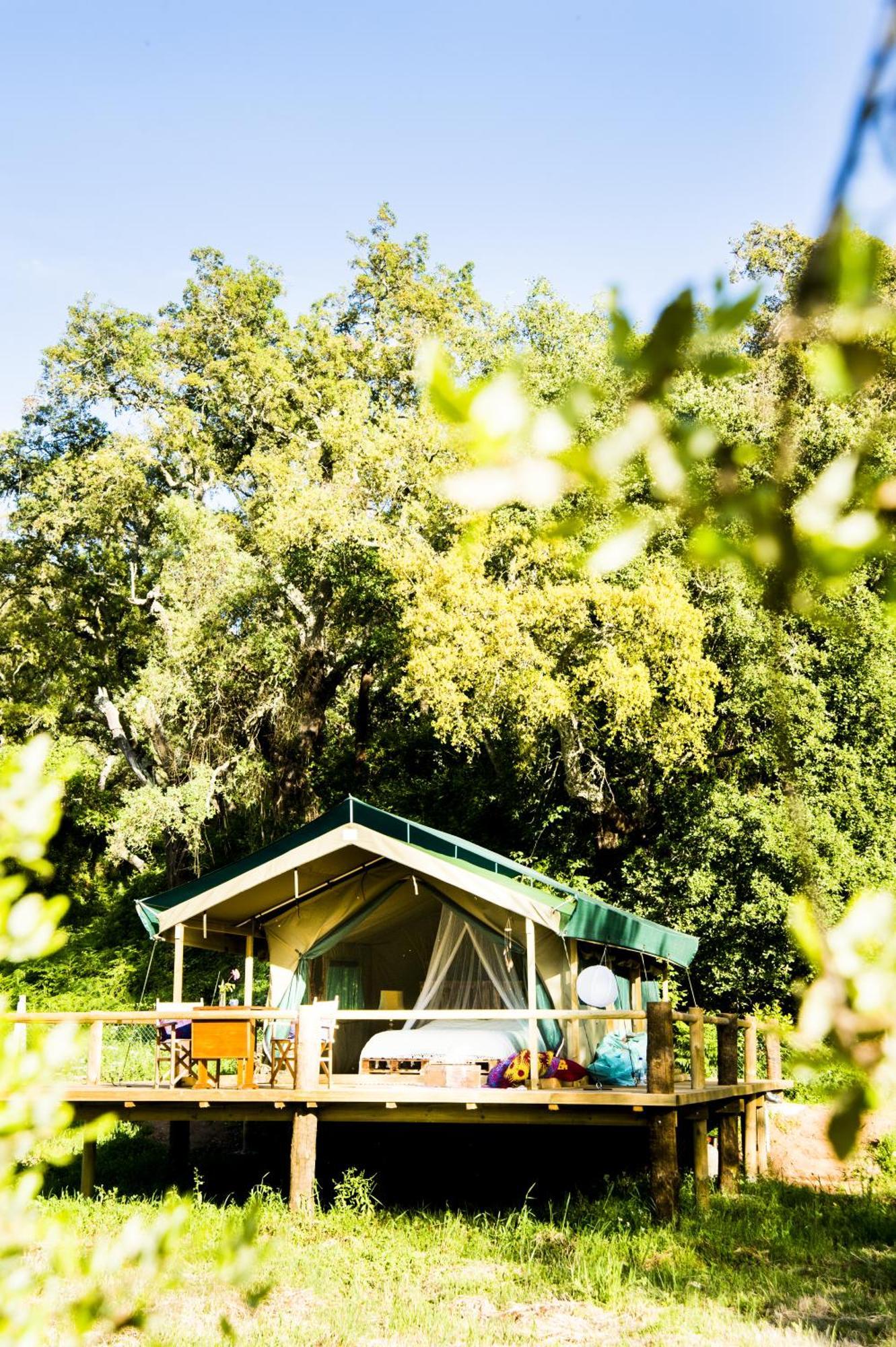 Figueirinha Ecoturismo Guest House Monte da Estrada Phòng bức ảnh