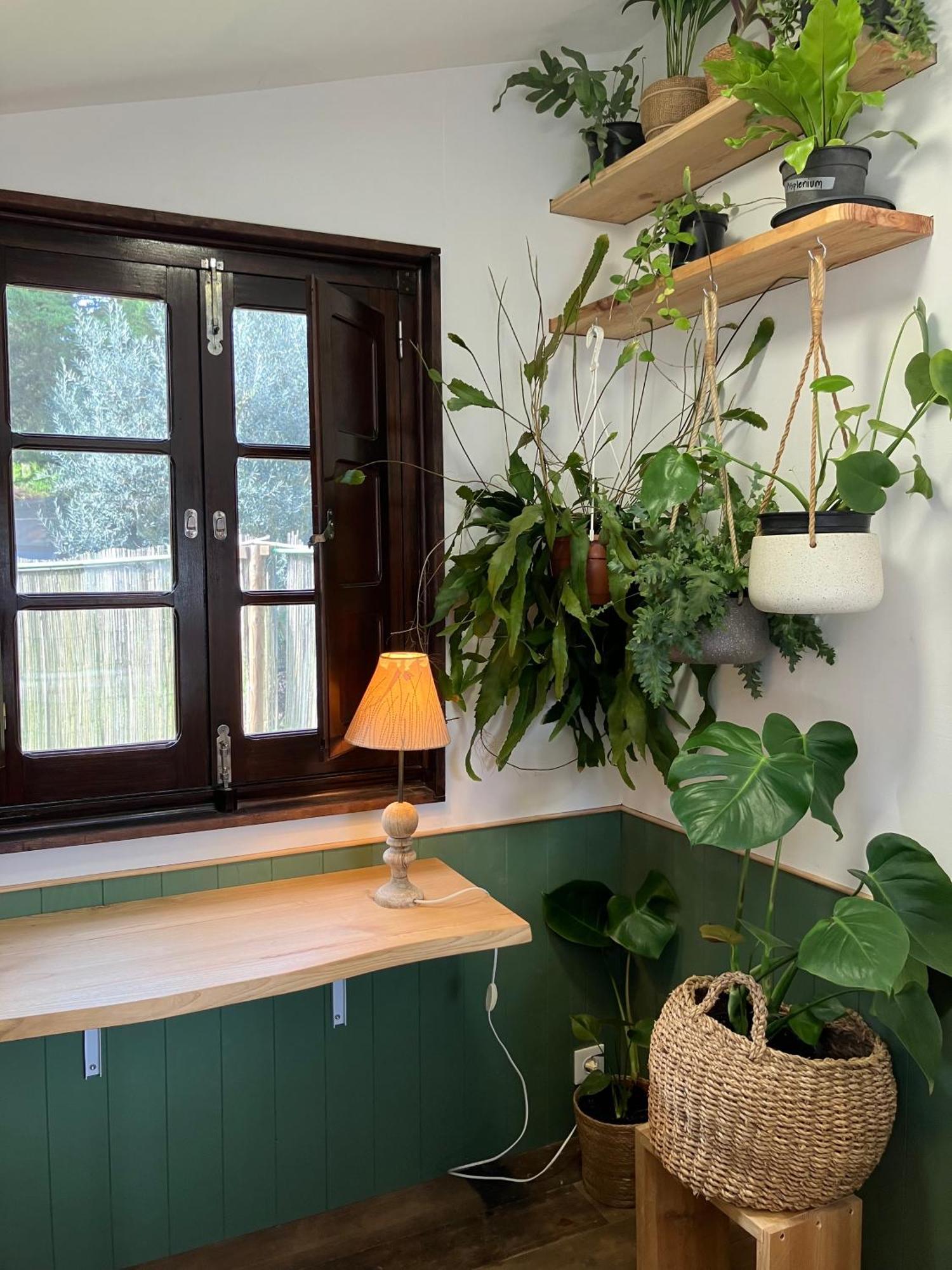 Figueirinha Ecoturismo Guest House Monte da Estrada Ngoại thất bức ảnh
