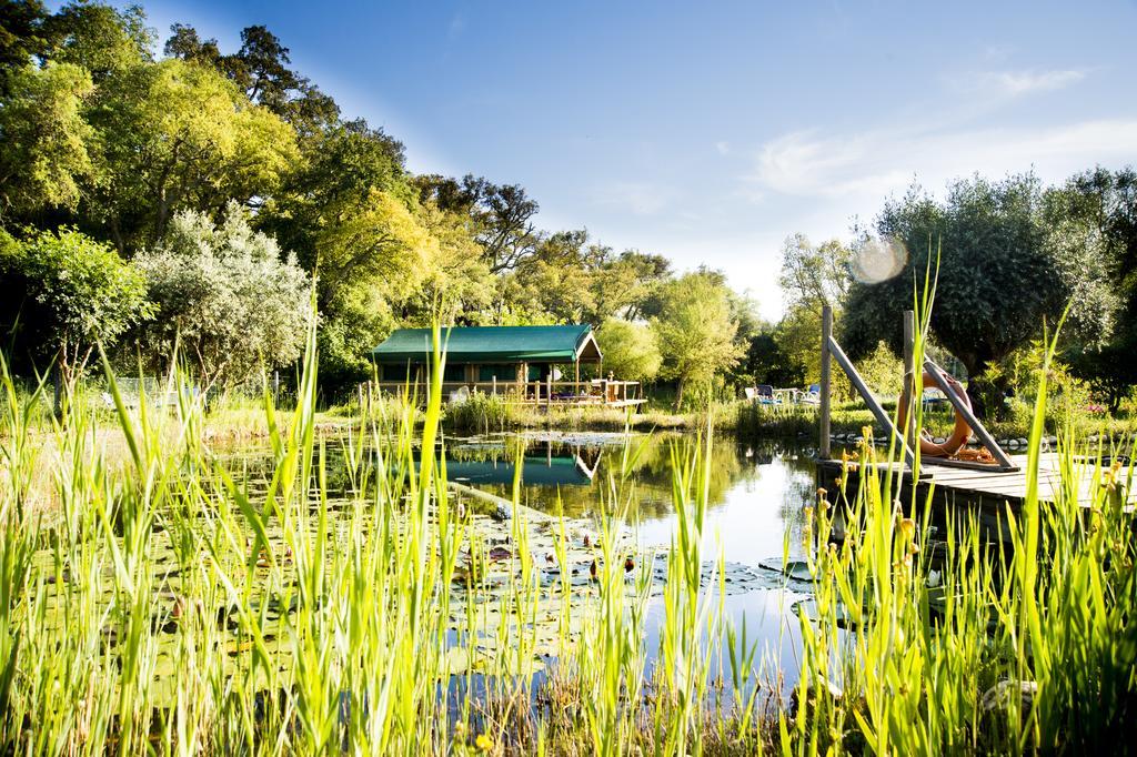 Figueirinha Ecoturismo Guest House Monte da Estrada Ngoại thất bức ảnh